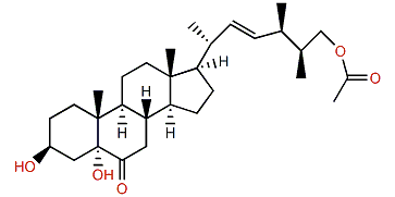 Echrebsteroid B